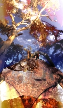 abstract_comp4.jpg